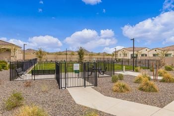 Dog park